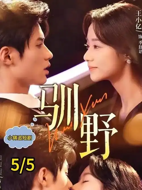 剧集板块图鉴缩略图，深紫霓虹描边